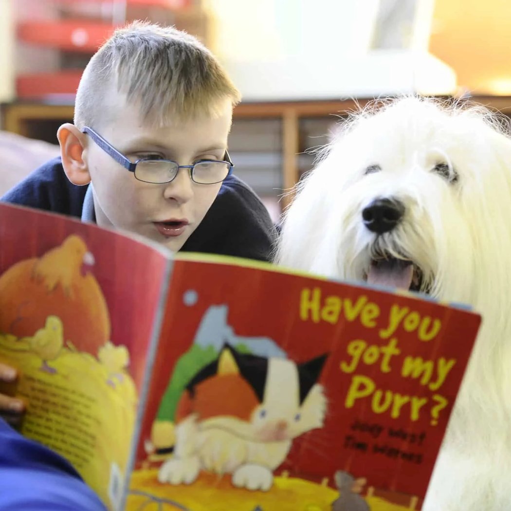 Reading with Rover 1